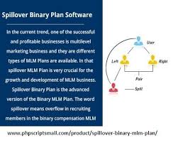 Spillover Binary Plan Software Php Scripts Mall Mlm Plan How To Plan Mlm Business