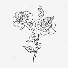 Flower black and white and transparent png images free download. Plant Lineart Black And White Line Rose Flower Rose Clipart Black And White Black And White Lines Line Draft Bud Png Transparent Clipart Image And Psd File For Free Download