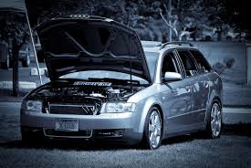 Image result for Atlas Gray 2004 A4