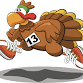 DFELCP Turkey Run