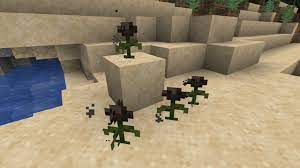 It is usually difficult for the player to see how much health they have left, as it turns the player's health bar black. The Wither Rose How To Get It New Powerful Item Minecraft 1 14 Youtube