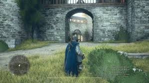 Image result for Disa cryptantha