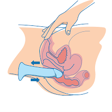 How to anal dildo