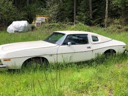 Image result for Alpine White 1975 AMC