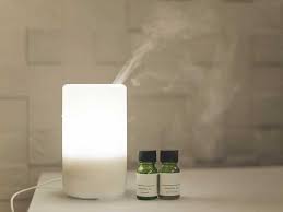 Or perhaps it's the whole new world of scents to explore. What Is Wintergreen Oil Its Benefits The Evidence And Risks