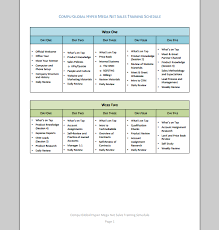 sales training plan template