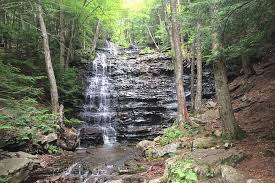 Waterfall big pocono state park. Just Listed In The Poconos Five Acre Bear Creek Waterfall Lot For Sale