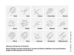 Memorykarten 1 pdf tierspuren im schnee spuren im schnee tierspuren : Zum Memoryspiel Tierspuren Memory Tierspuren Tierspuren Im Schnee Tiere