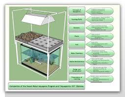 1.12 learn how to build an op cactus farm to get loads of cactus whenever you want! Fish Farm Schemtica