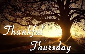 Image result for thankful thursday