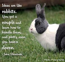 Pet loss pet sympathy cat dog. Georgie S Rabbits Pet Rabbit Animal Quotes Inspirational Pets