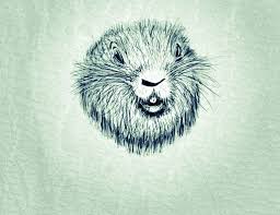 Just Gopher It Art Art Drawings Animal Tattoo