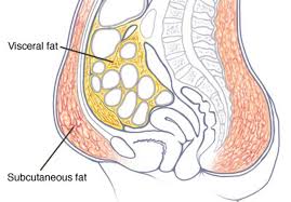 Pin On Hormone Health
