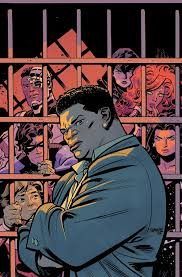 Image result for Disa walleri