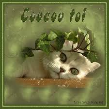 Résultat de recherche d'images pour "images scintillantes animées"