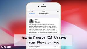 Notice, that software updates differ for different devices. Delete The Downloaded Ios Update On Iphone Ipad Ios 12