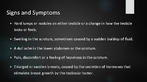 In addition, these symptoms can be caused by other conditions besides cancer, so the presence of these symptoms does not mean. Testicular Cancer What Is Testicular Cancer Cancer That
