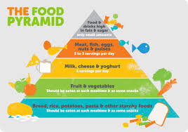 Food Pyramid My Favorite Recipes Food Tips Healthy