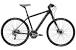 Hybrid Bike