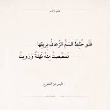 شعر قيس بن الملوح ألا يا نسيم الريح حكمك جائر الغزل شعر قيس بن الملوح مجنون ليلى عالم الأدب arabic quotes arabic poetry quotes poetry quotes math