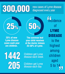 About Children S Lyme Disease Network Children S Lyme Disease Network