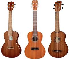 If you are not familiar with the donner brand name, well, you should really take some notes then. 7 Best Ukuleles For Beginners 2021 Experts Choice