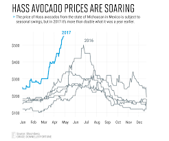 why avocado prices will remain high through the summer fortune