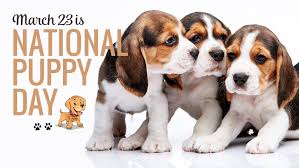 She also created the day to shine a spotlight on the plight of the many types of animals which are in shelters all over the planet. National Puppy Day 2021 History Quotes Jokes Ways To Celebrate