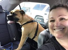 Happy Gotcha Day! The first photo is the day this Derp stole my heart. He  has certainly grown up (now 4) and filled out to be such a hunky lunk. Love  you,