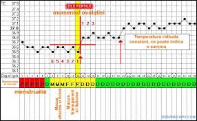 Cate zile tine perioada ciclului menstrual? Temperatura Bazala In Faza Luteala Desprecopii Com
