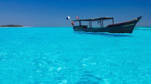 Фото, описание, отзывы, рейтинги, контакты. Zanzibar Hotels And Resorts With Beach View The Most Perfect View