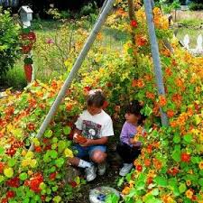 Yes I Want To Grow A Tepee What Little Person Wouldn T Like This Gardening For Kids Nasturtium Sensory Garden