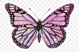Pink Holographic Monarch Butterfly With A White Border Sticker Premium Image By Rawpixel Com Nunny Monarch Butterfly Sparkle Png Butterfly