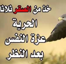 تعلم من الصقر ثلاث ا الحريه وعزة النفس وبعد النظر Words Qoutes Life
