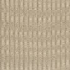 This warmth comes across soft and creamy rather than crisp, fresh and yellow. Meirami Linen White 72 81 Wall To Wall Meirami Vm Carpet