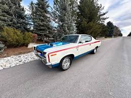 Image result for Frost White 1969 AMC