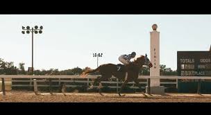 The site moviebb.net is one of the newest. Secretariat Trailer The Diary Of A Film History Fanatic