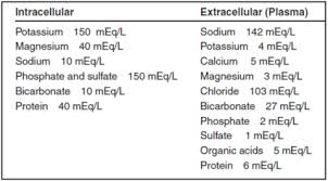 chloride blood test normal low or high chloride levels