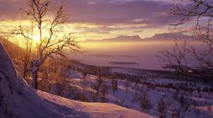 Questa foto è una foto di paesaggi, svezia. Aurore Boreali Nella Lapponia Svedese