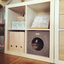 42 Ikea Kallax Ideas Hacks For Every Room In 2020 Pet Furniture Cat Cube Ikea Cat