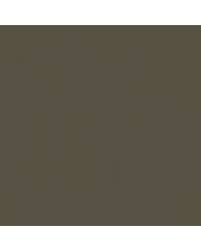 Image result for Mocha Bronze 2015 Sonic