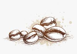 Beans Vector Coffee Seed Coffee Bean Vector Png Transparent Png Transparent Png Image Pngitem Coffee beans shading coffee beans scattered coffee beans handmade coffee beans letter coffee beans brown coffee beans hand painted imgbin is the largest database of transparent high definition png images. coffee bean vector png transparent png