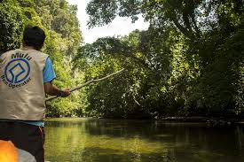 Named after the 2,377m mount mulu (gunung mulu), the park is famed for its. Mulu Nationalpark Infos Zu Dschungel Hohlen Unterkunft Anreise
