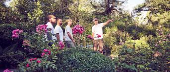 Maybe you would like to learn more about one of these? Uber Uns Volz Gartengestaltung