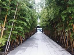 Driveway In Japanese Garden Google Search Japanese Garden Traditional Building Entrance