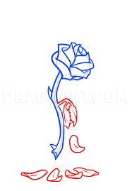 Check spelling or type a new query. Beauty And The Beast Rose Drawing Step By Step Drawing Guide By Dawn Dragoart Com