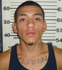 Home burglary results in 2 year prison term for local man