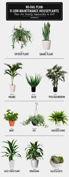 Feng Shui Room App Apartment Plants Plants Bathroom Plants