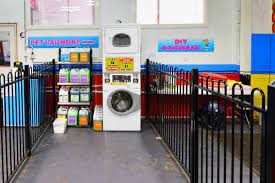 Maybe you would like to learn more about one of these? All 4 Pets Family Owned And Operated Since 2005