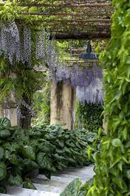 The Gardens Of Villa Della Pergola At Alassio Pergola Garden Wisteria Pergola Outdoor Pergola